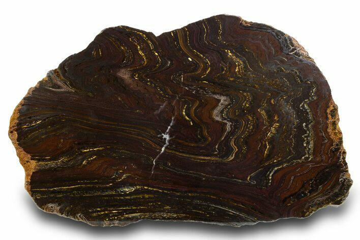 Polished Tiger Iron Stromatolite Slab - Billion Years #314871